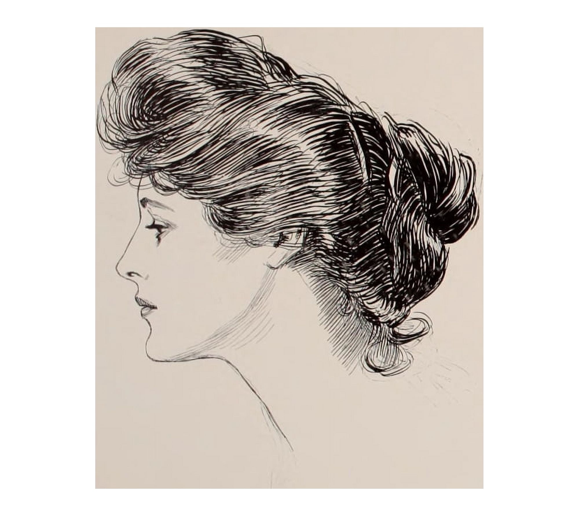 Posterazzi Social Ladder 1902 Woman 1 Canvas Art - Charles Dana Gibson (24 x 36)