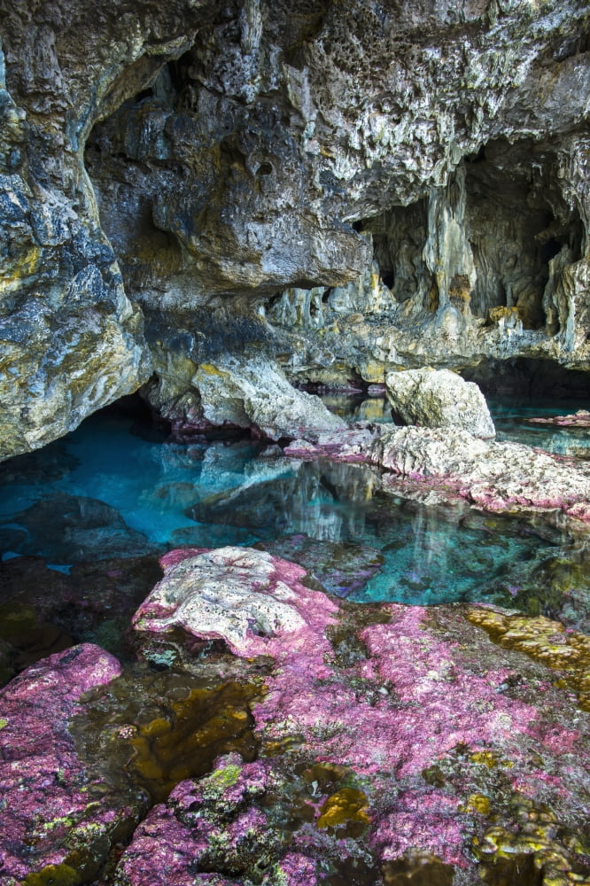 Posterazzi Soft corals decorate the ocean caves that line the Nuie coastline Niue Canvas Art - David Kirkland Design Pics (24 x 38)