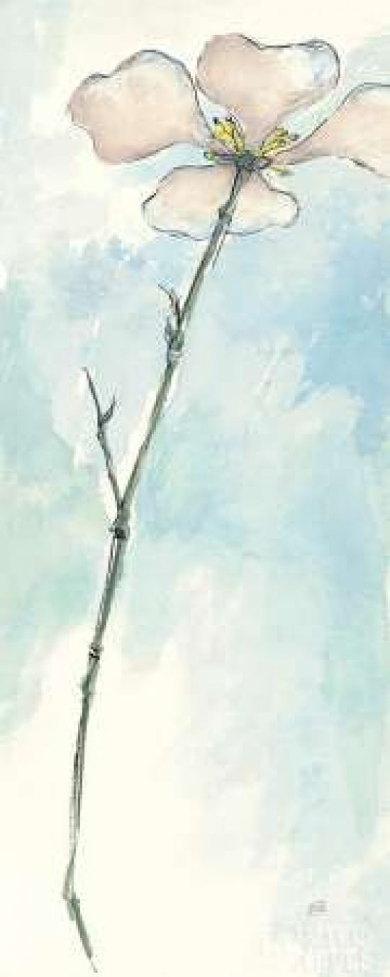 Posterazzi Solitary Dogwood I Canvas Art - Chris Paschke (24 x 48)