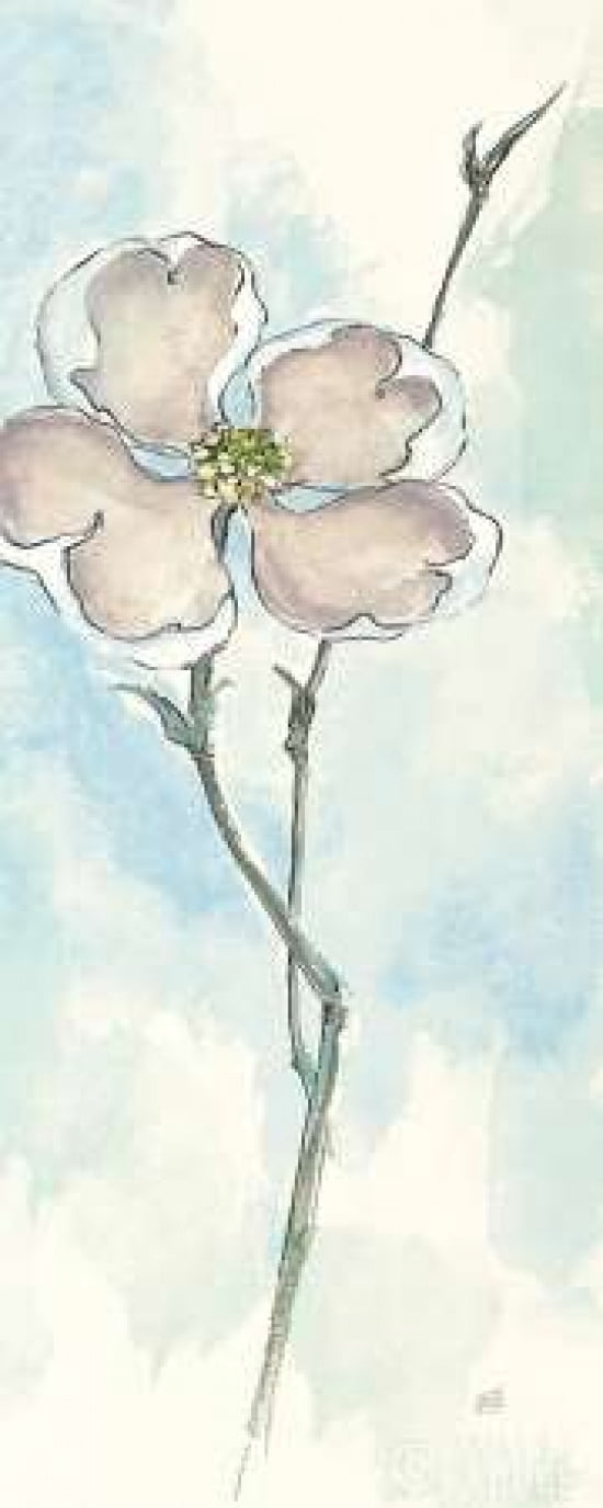 Posterazzi Solitary Dogwood II Canvas Art - Chris Paschke (24 x 48)
