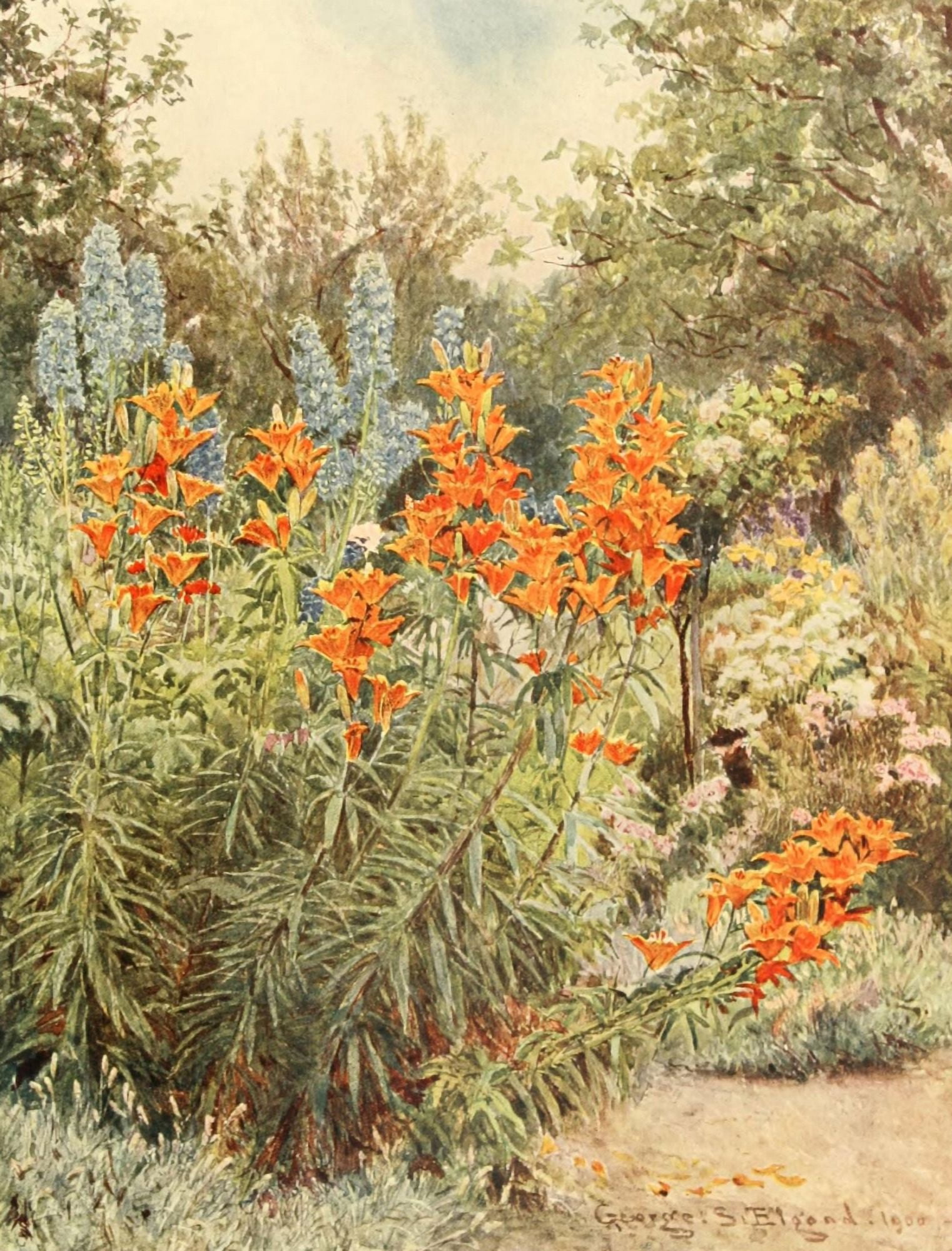Posterazzi Some English Gardens 1904 Orange Lilies & Larkspur Canvas Art - George S Elgood (24 x 36)