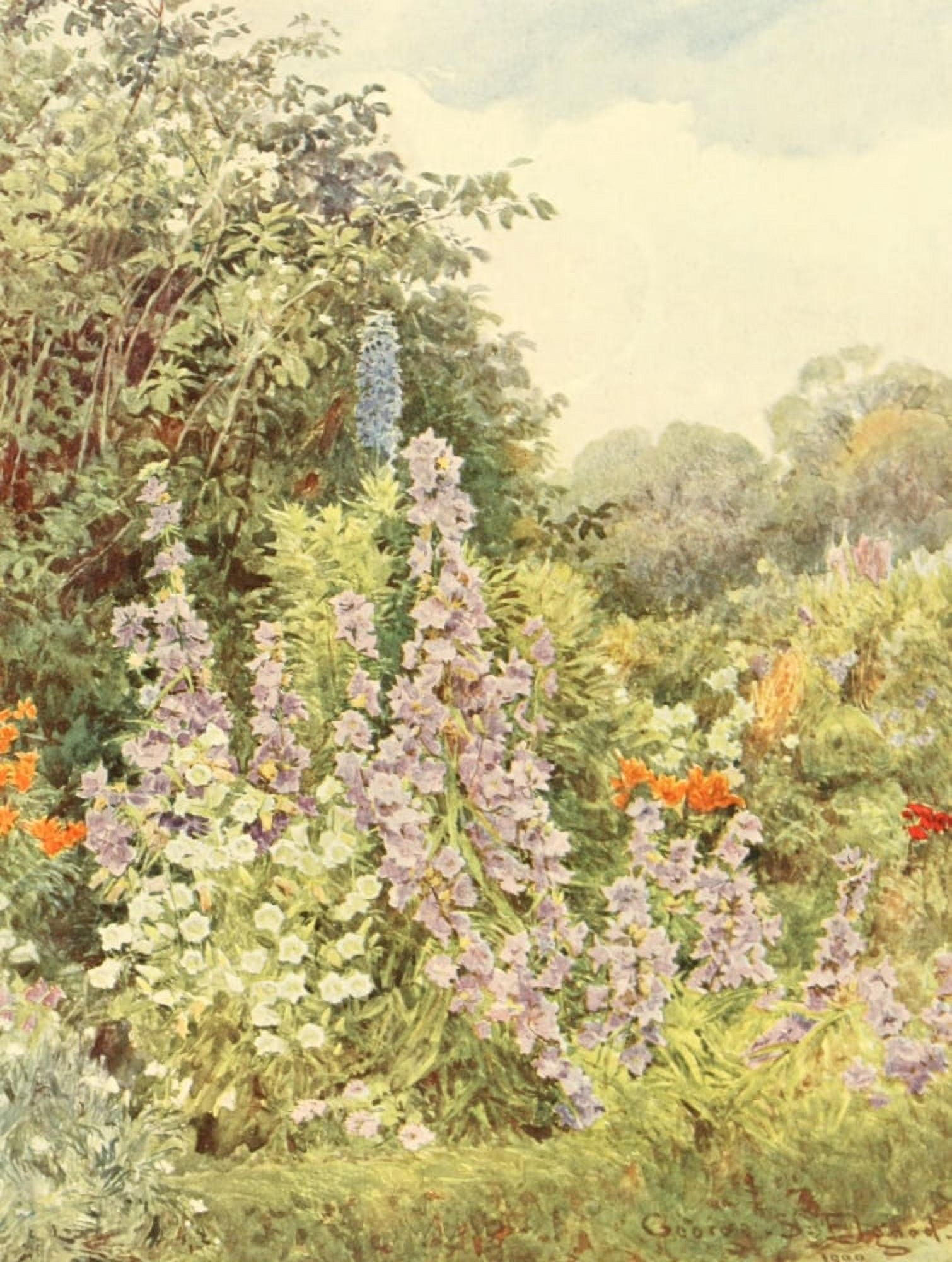 Posterazzi Some English Gardens 1904 Purple Campanula Canvas Art - George S Elgood (24 x 36)
