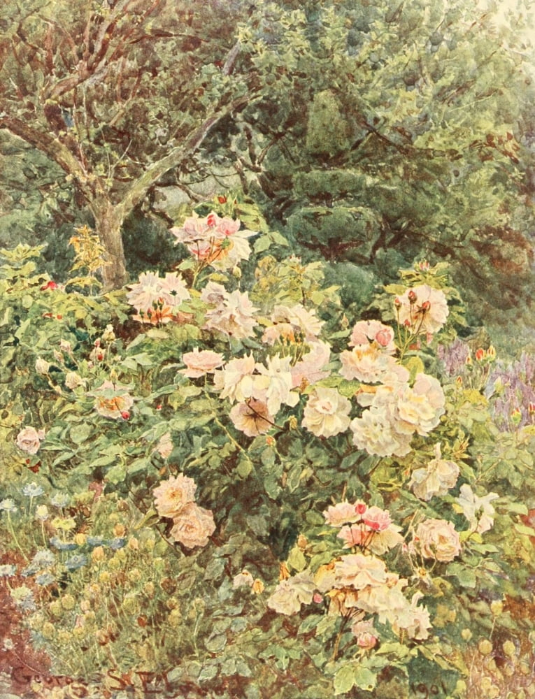 Posterazzi Some English Gardens 1904 Viscountess Folkestone Canvas Art - George S Elgood (24 x 36)