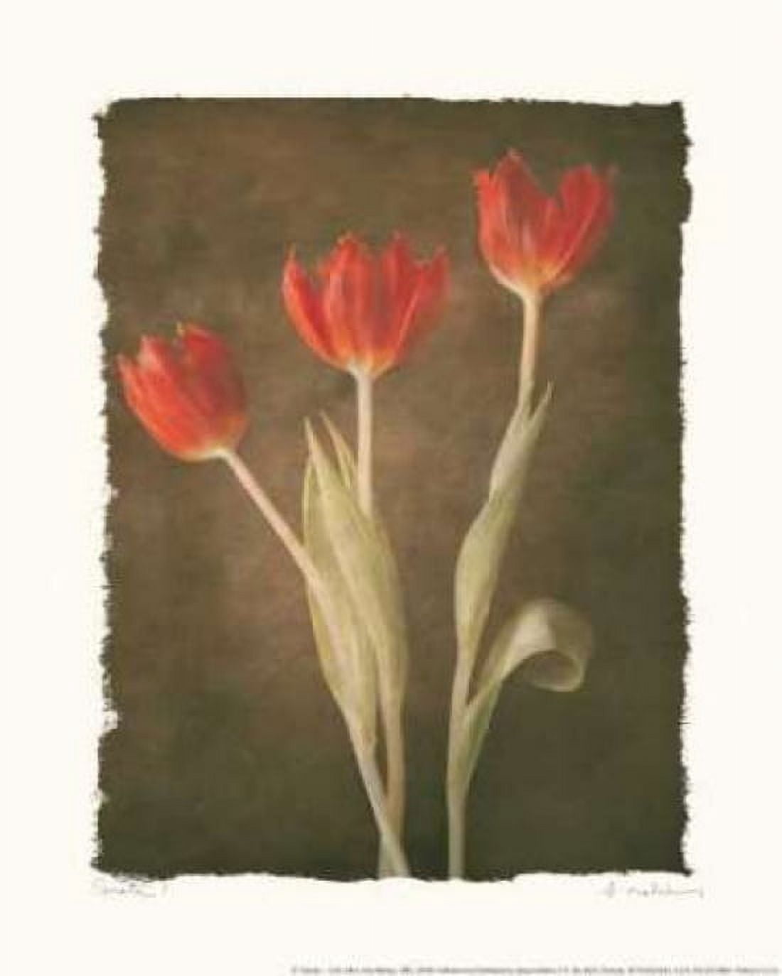 Posterazzi Sonata I Canvas Art - Amy Melious (22 x 28)
