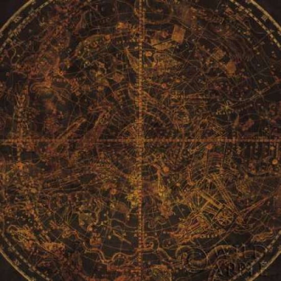 Posterazzi Southern Celestial Sphere Vintage Canvas Art - Wild Apple Portfolio (24 x 24)