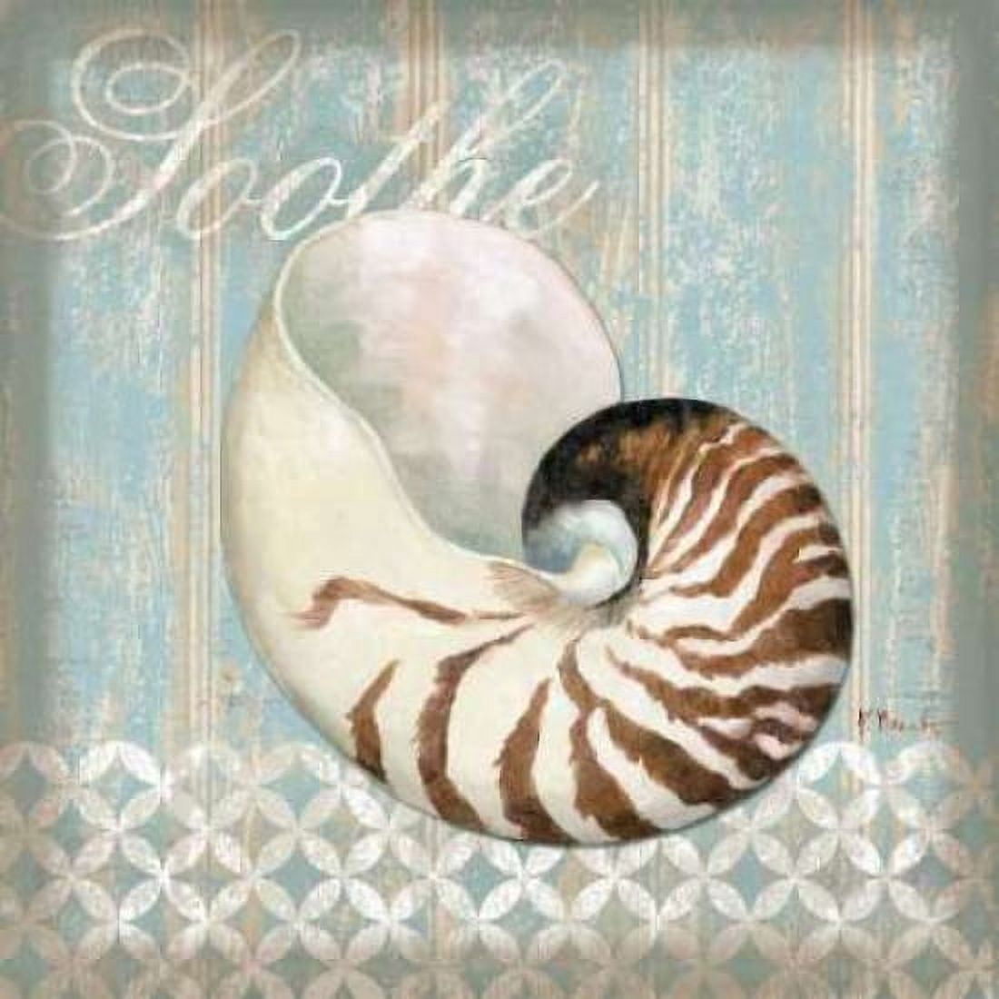 Posterazzi Spa Shells III Canvas Art - Paul Brent (24 x 24)