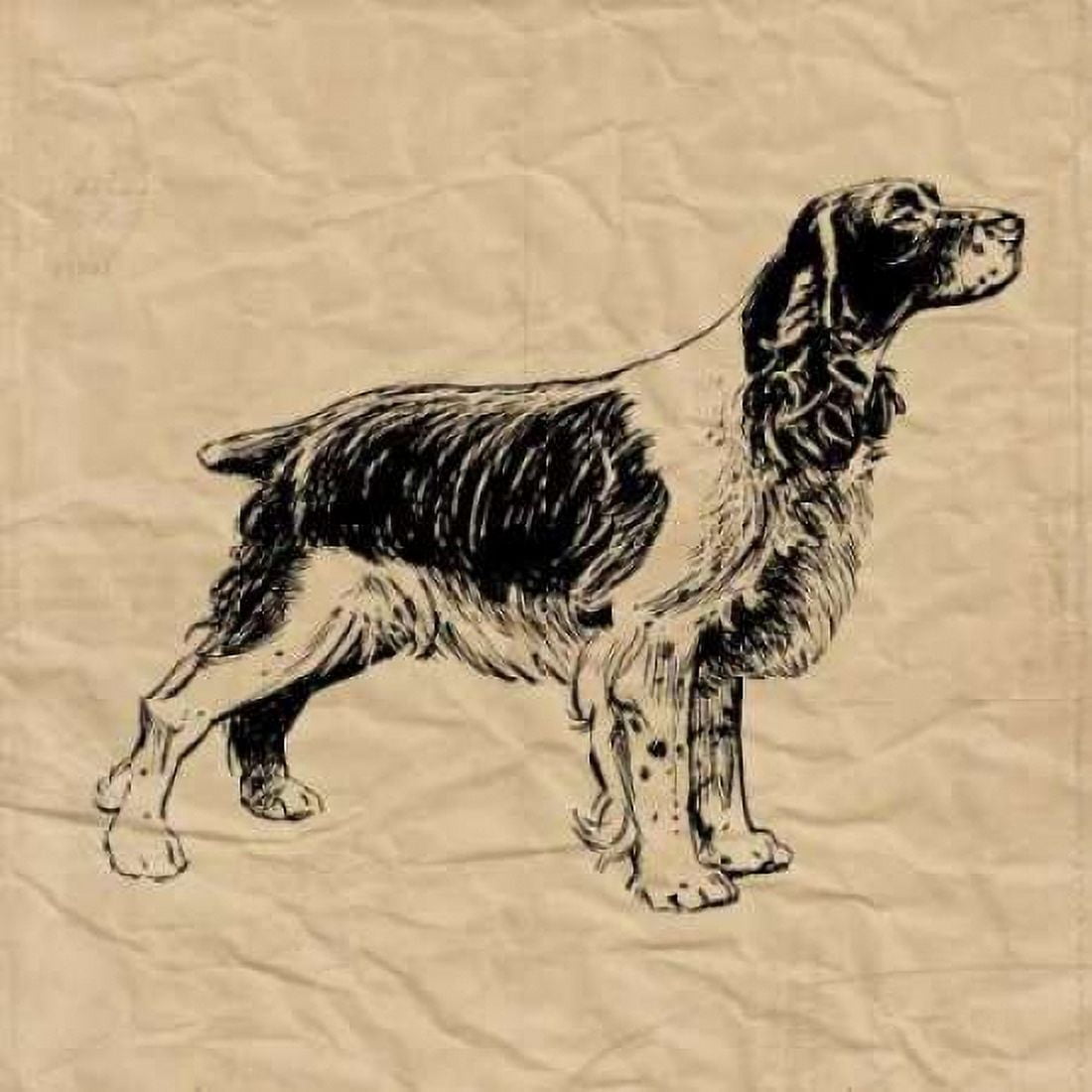 Posterazzi Spaniel Canvas Art - Sabine Berg (24 x 24)