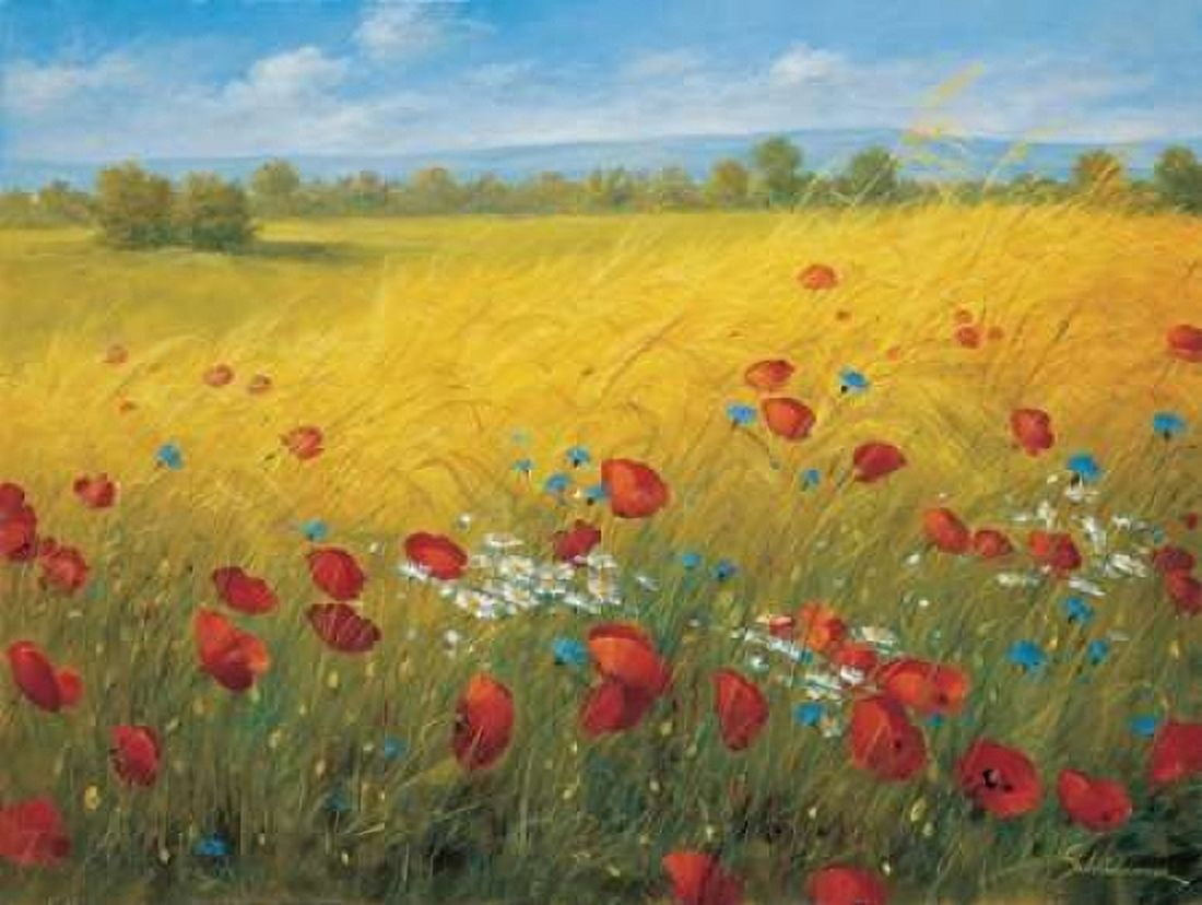 Posterazzi Sparkling field I Canvas Art - Heinz Scholnhammer (18 x 24)