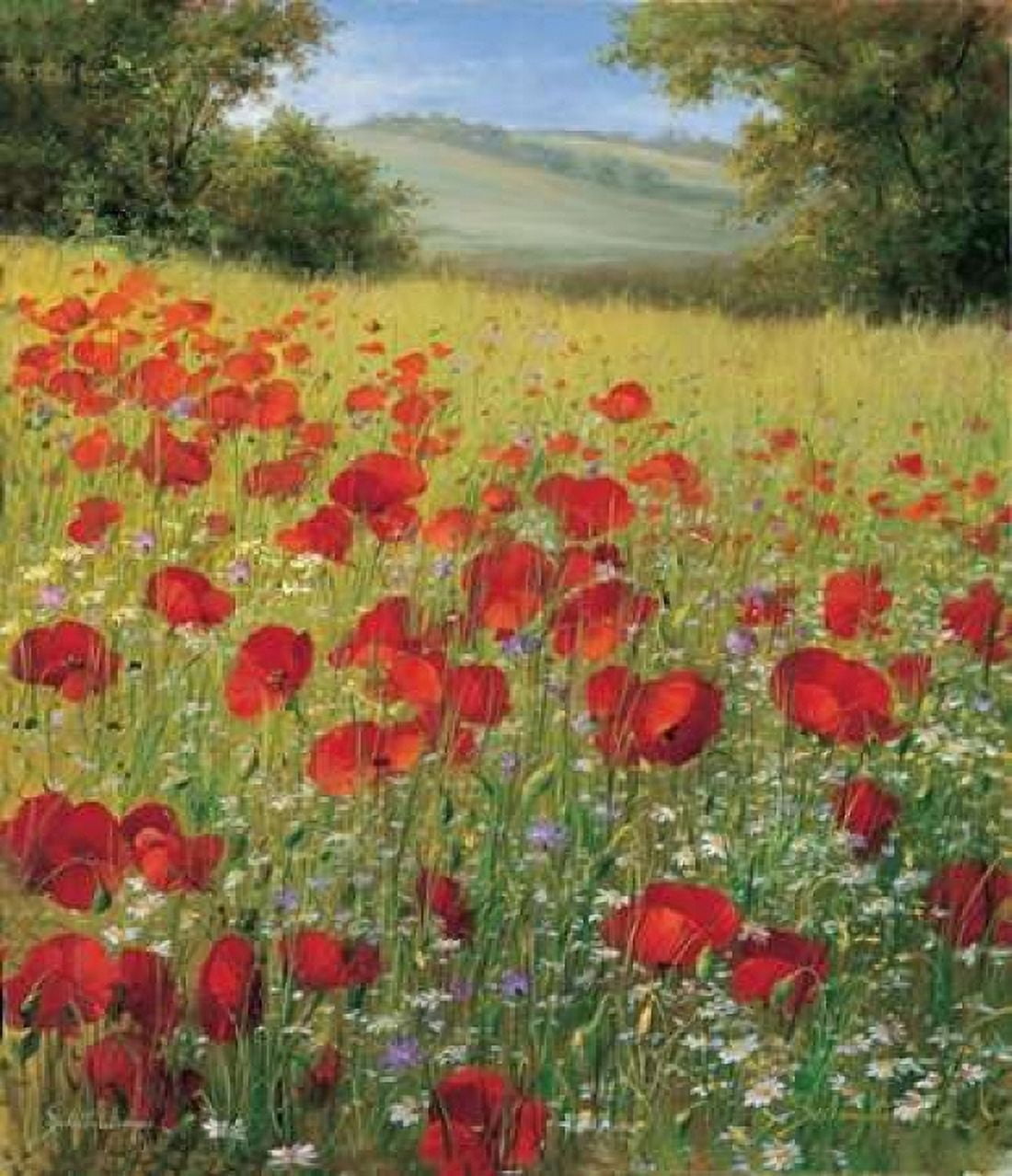 Posterazzi Sparkling field II Canvas Art - Heinz Scholnhammer (24 x 24)