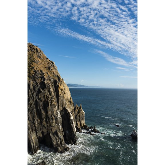 Posterazzi Spectacular sea cliffs at Oswald West State Park Manzanita Oregon United States of America Canvas Art - Robert L Potts Design Pics (24 x 38)