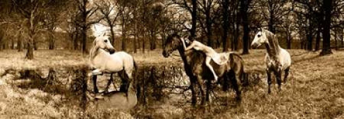 Posterazzi Spirits of the Woods Canvas Art - Marc Moreau (24 x 48)