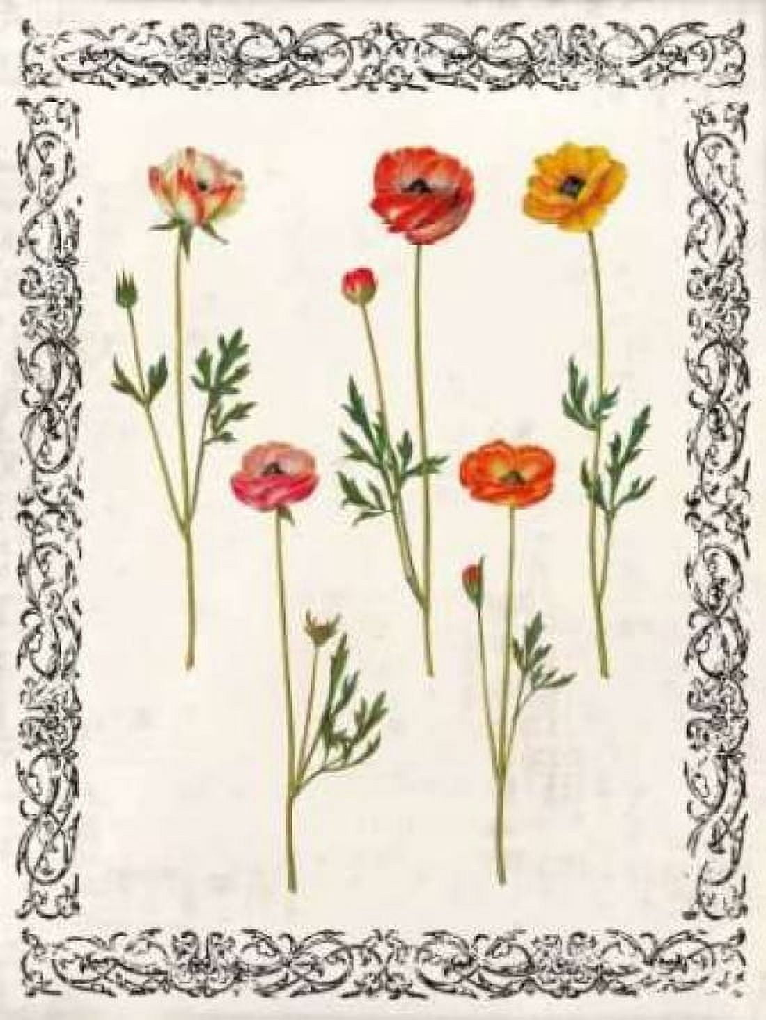 Posterazzi Spring Blooms II Canvas Art - Sabine Berg (18 x 24)