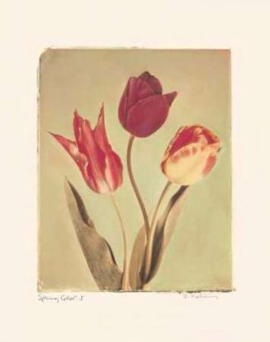 Posterazzi Spring Color I Canvas Art - Amy Melious (24 x 30)