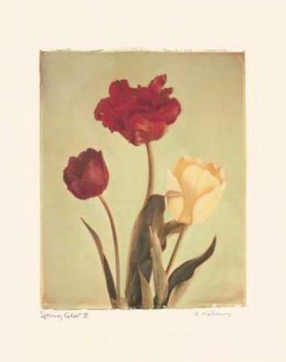 Posterazzi Spring Color IV Canvas Art - Amy Melious (24 x 30)