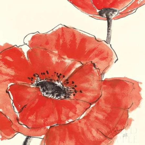 Posterazzi Spring Poppy II Canvas Art - Chris Paschke (24 x 24)