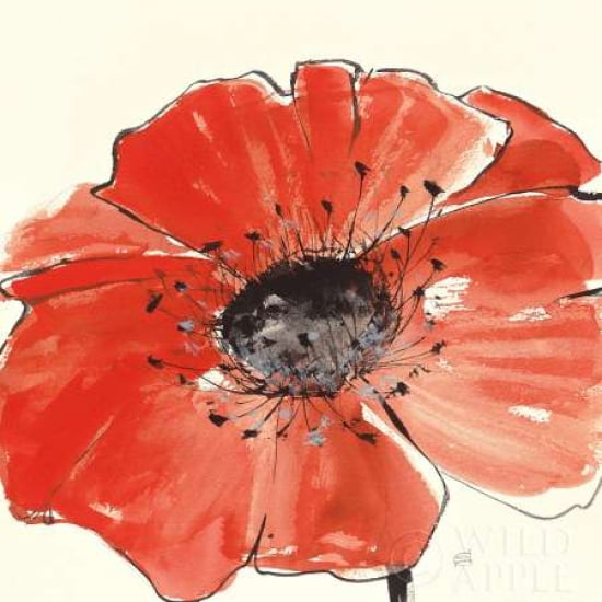 Posterazzi Spring Poppy IV Canvas Art - Chris Paschke (24 x 24)