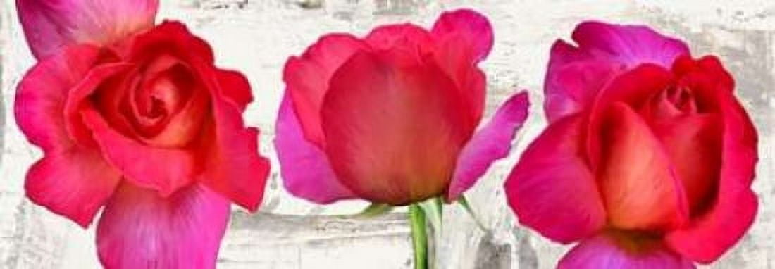 Posterazzi Spring Roses Canvas Art - Jenny Thomlinson (10 x 20)