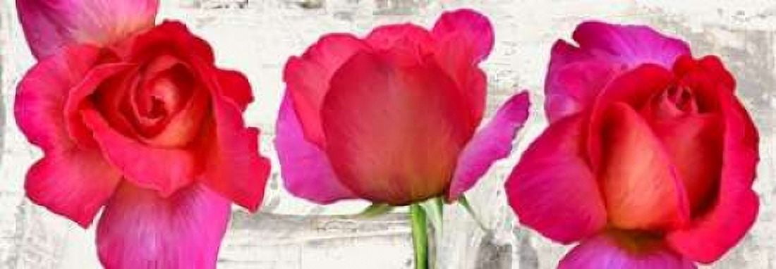 Posterazzi Spring Roses Canvas Art - Jenny Thomlinson (24 x 48)