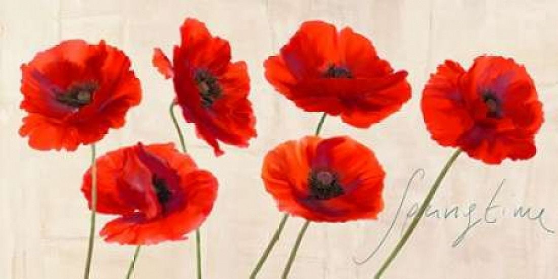 Posterazzi Springtime Canvas Art - Teo Rizzardi (10 x 20)