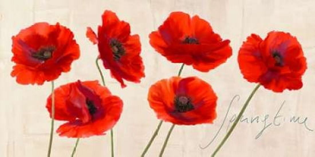 Posterazzi Springtime Canvas Art - Teo Rizzardi (24 x 48)