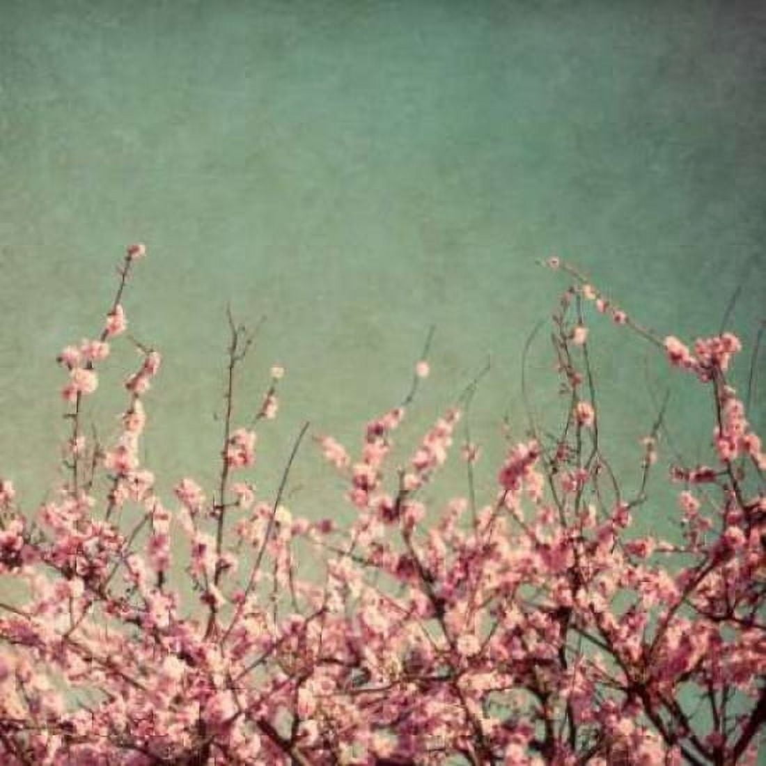 Posterazzi Springtime I Canvas Art - Susan Bryant (24 x 24)