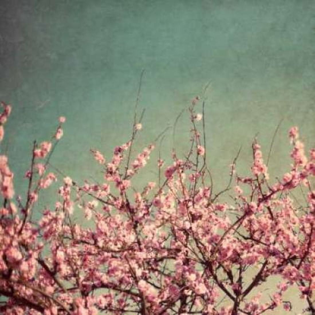 Posterazzi Springtime II Canvas Art - Susan Bryant (24 x 24)