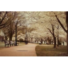 Posterazzi Springtime Stroll Canvas Art - Natalie Mikaels (24 x 36)