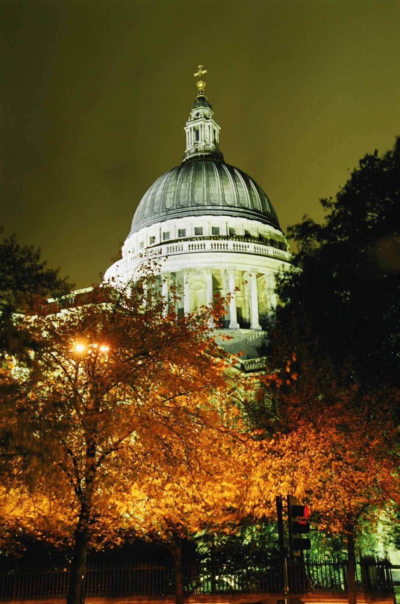 Posterazzi St Pauls Cathedral At Night With Trees Canvas Art - Anthony Webb Design Pics (24 x 38)