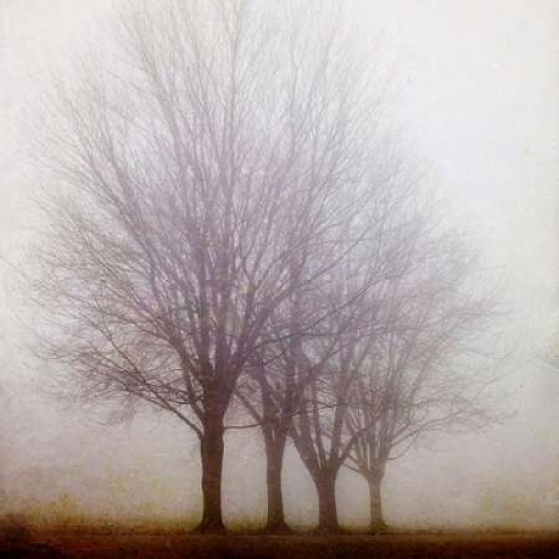 Posterazzi Standing Still Canvas Art - Irene Suchocki (24 x 24)
