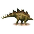 thumbnail image 1 of Posterazzi Stegosaurus Armatus A Prehistoric Era Dinosaur 18" x 10" Framed Poster, 1 of 2