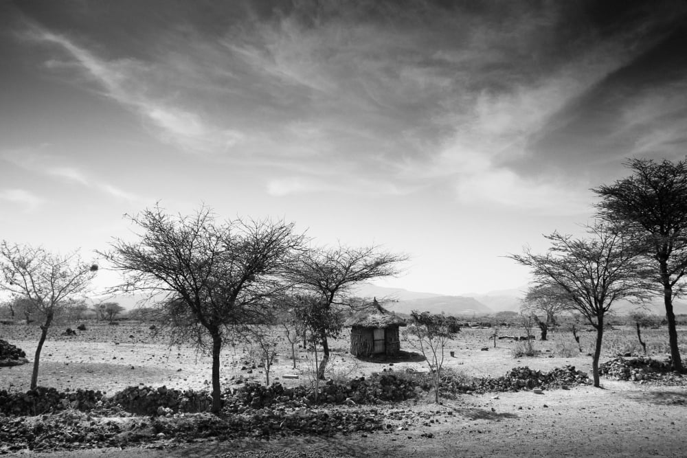 Posterazzi Stone Hut Set In Grassland Plains Ethiopia Canvas Art - David DuChemin Design Pics (38 x 24)