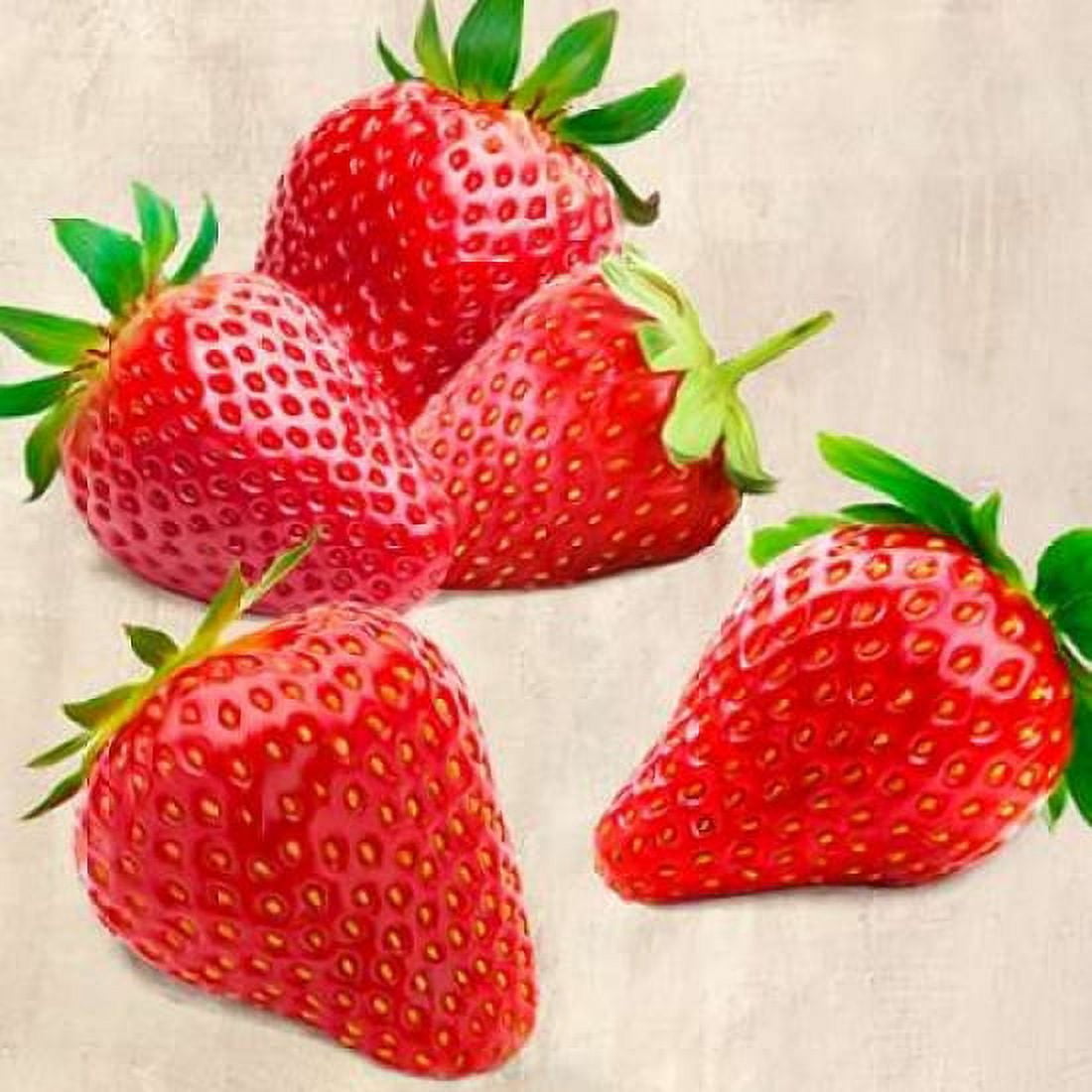 Posterazzi Strawberries Canvas Art - Remo Barbieri (24 x 24)