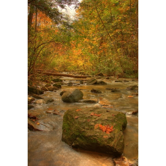 Posterazzi Stream In Autumn Rock Glen Conservation Area Near Arkona Ontario Canvas Art - Robert Postma Design Pics (22 x 34)