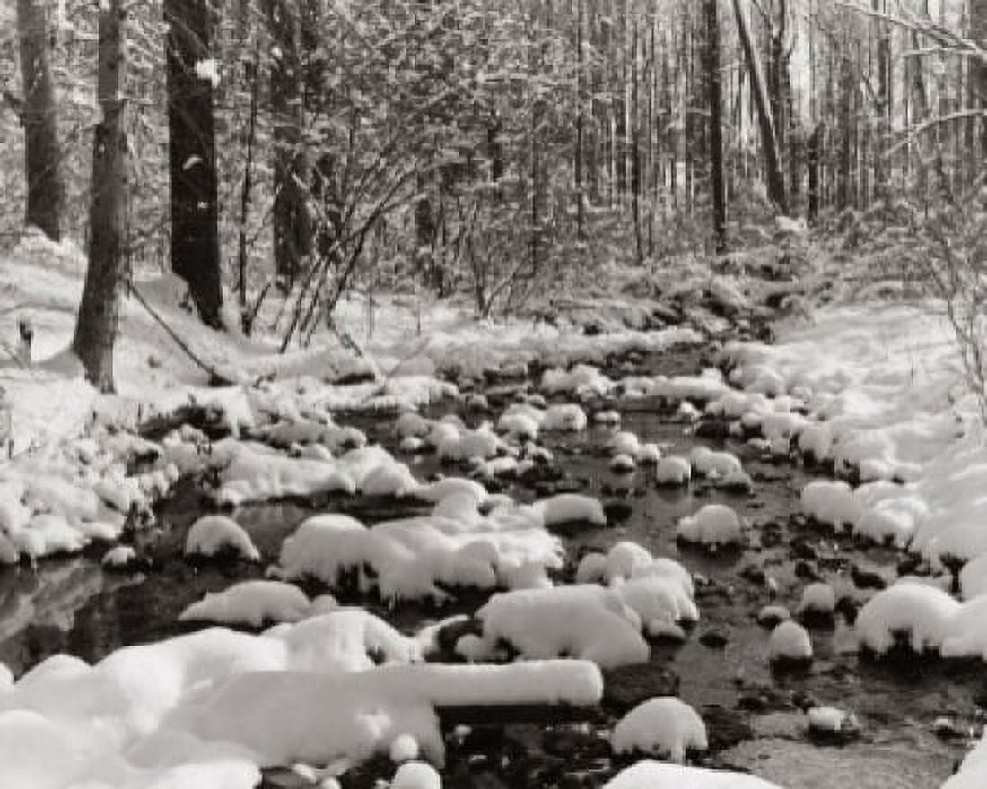 Posterazzi Stream covered with snow Canvas Art - (24 x 36)