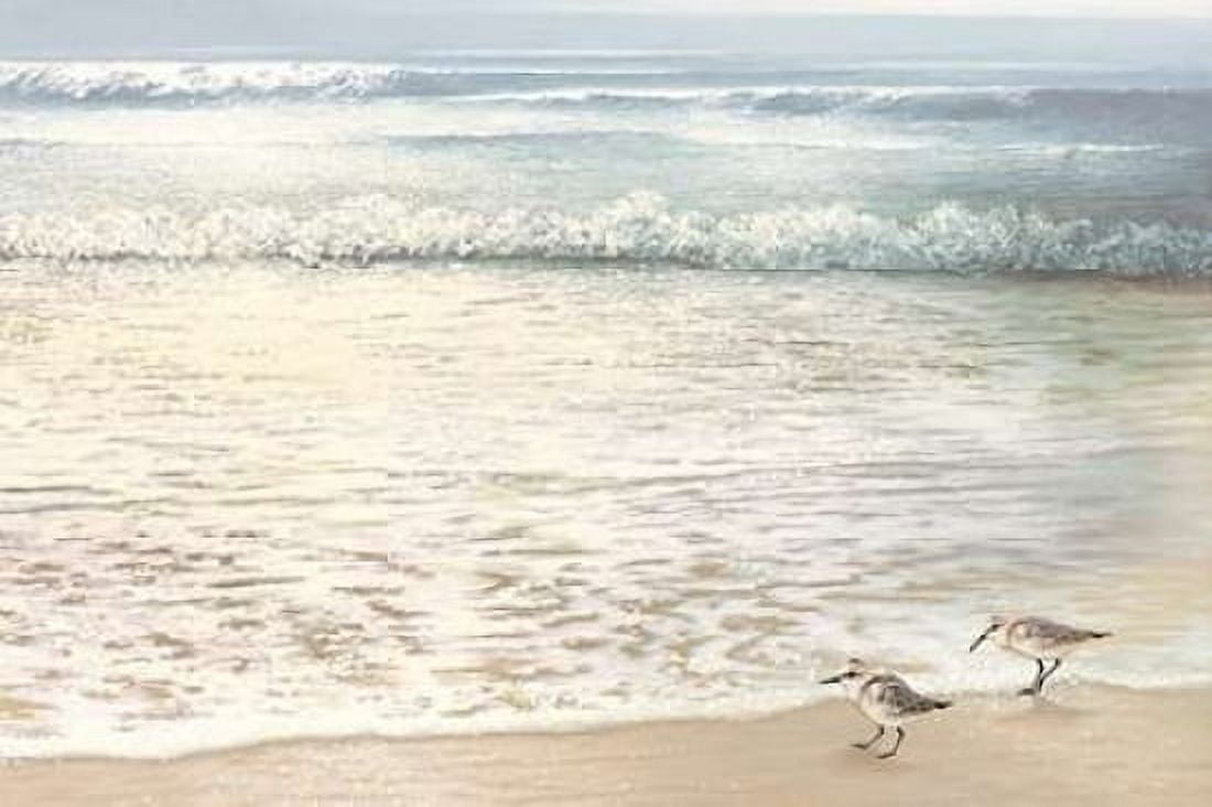 Posterazzi Strolling Along Canvas Art - Bruce Nawrocke (24 x 36)