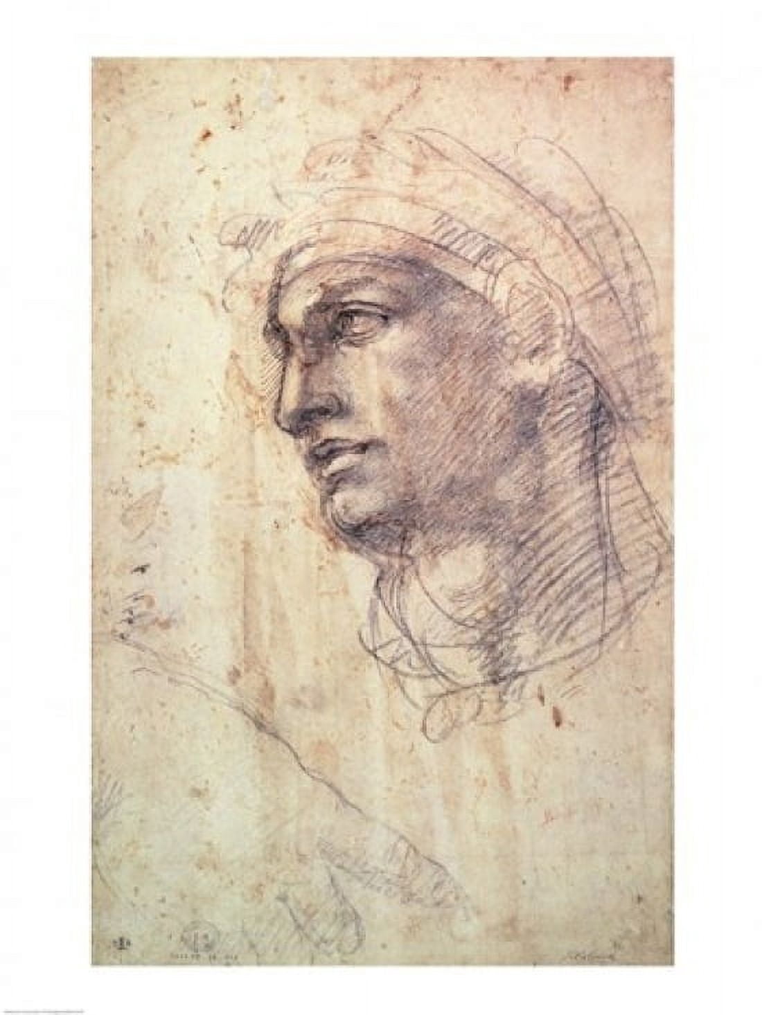 Posterazzi Study of a Head Canvas Art - Michelangelo Buonarroti (24 x 36)