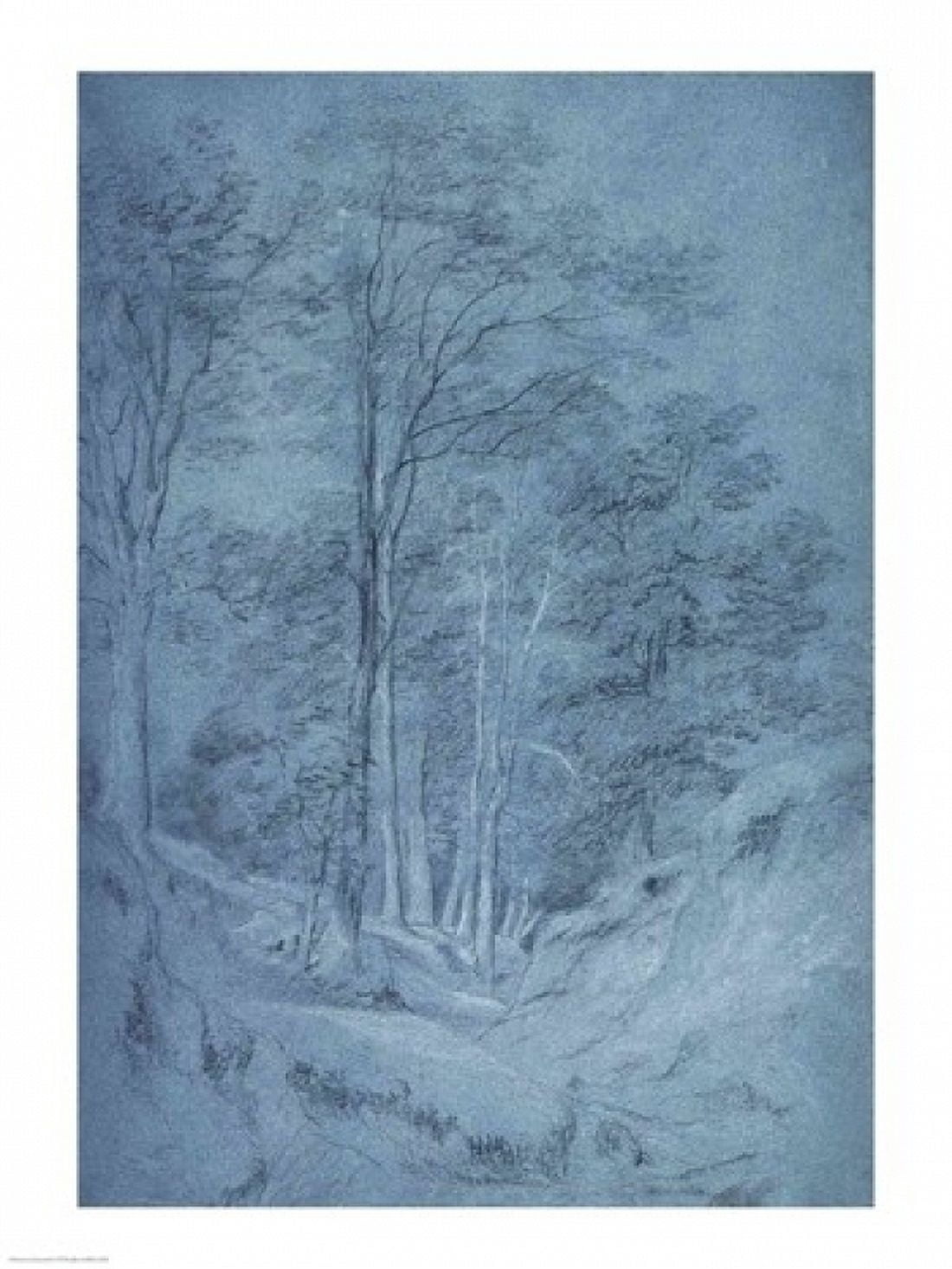 Posterazzi Study of ash and other trees Canvas Art - John Constable (24 x 36)