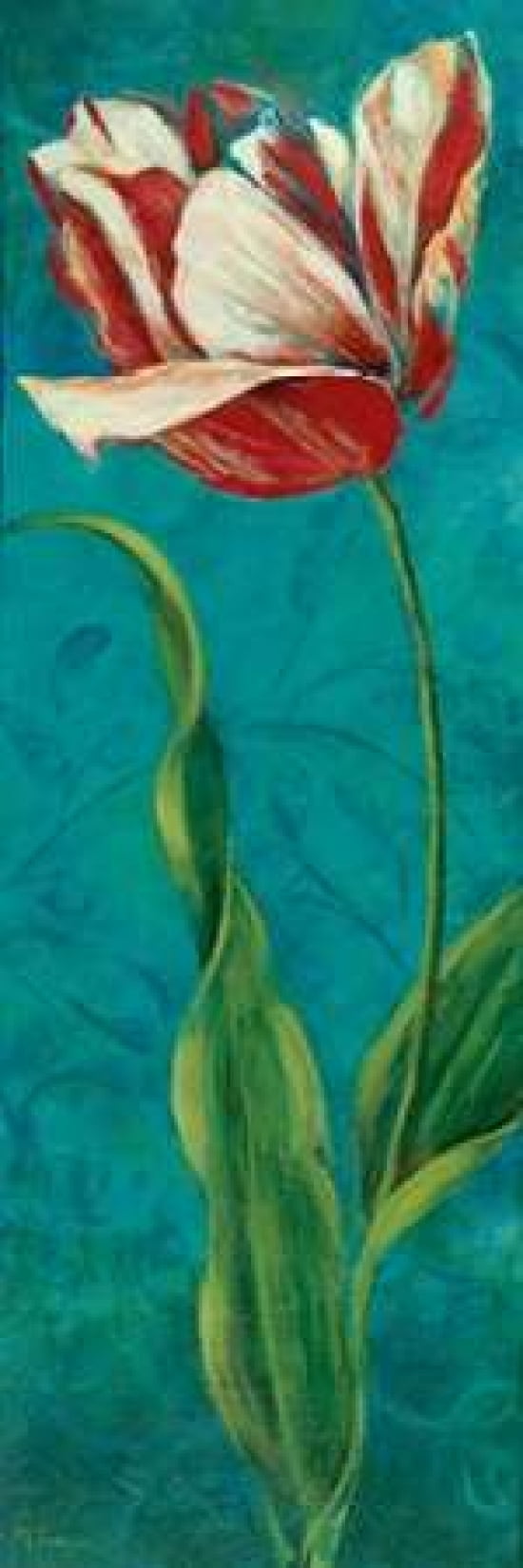 Posterazzi Sultans Garden II Canvas Art - Maria Donovan (12 x 36)