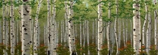 Posterazzi Summer Birch Forest Canvas Art - Julie Peterson (24 x 48)