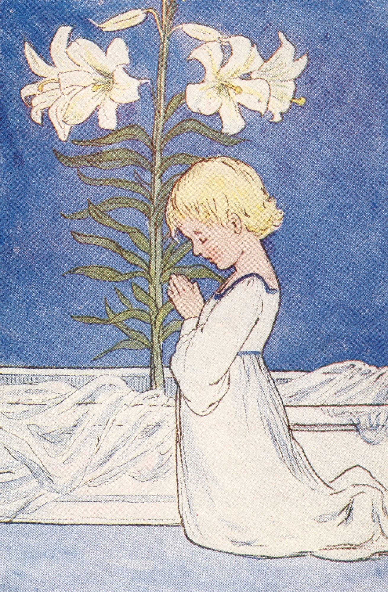 Posterazzi Summer Flowers c1910 Madonna Lily Canvas Art - Eleanor S March (24 x 36)