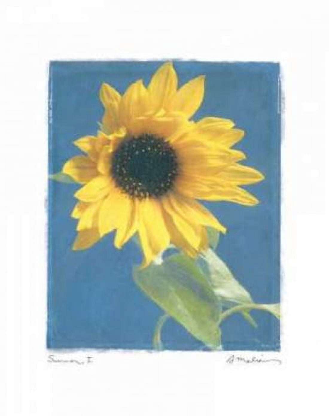 Posterazzi Summer I Canvas Art - Amy Melious (22 x 28)