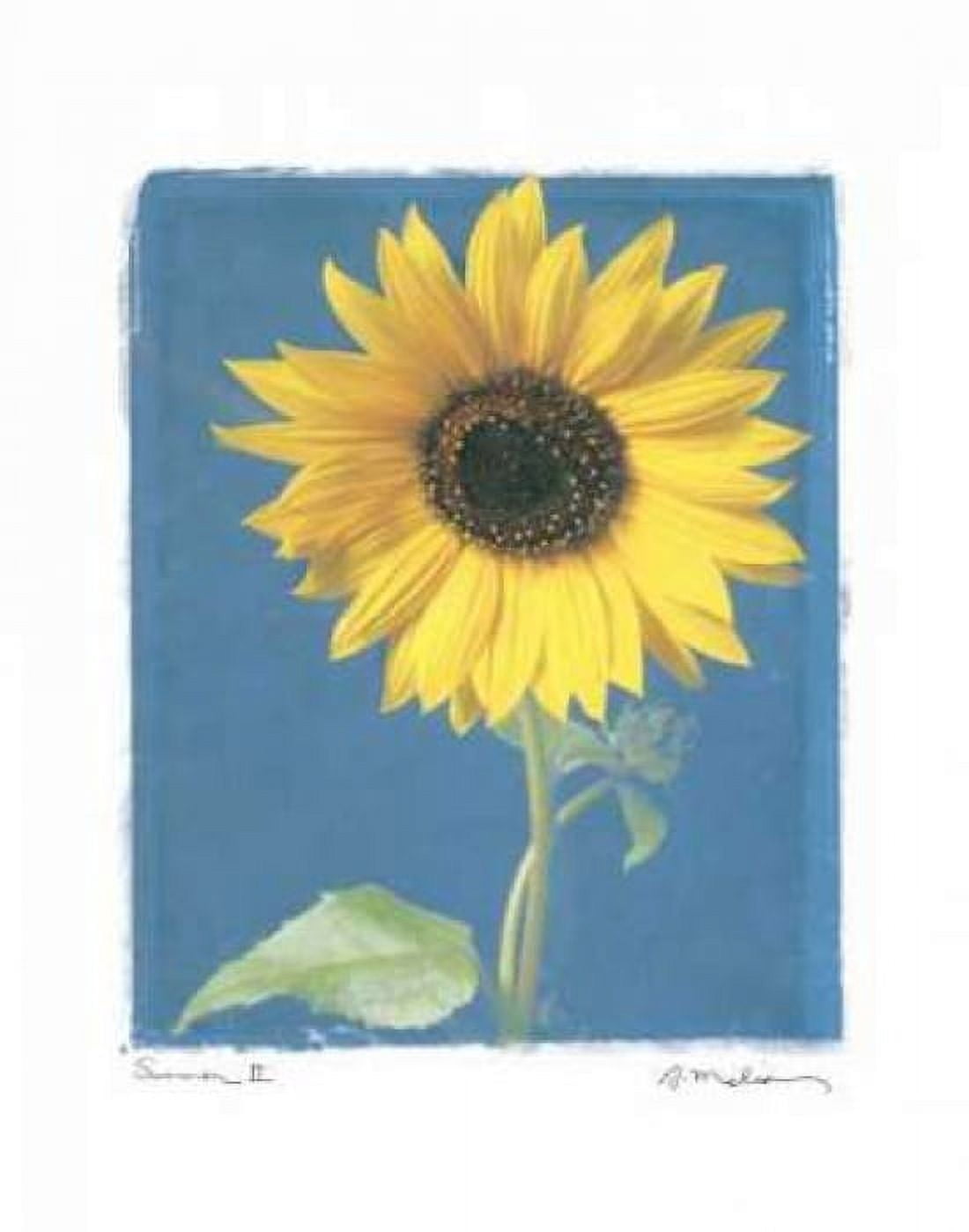 Posterazzi Summer II Canvas Art - Amy Melious (22 x 28)