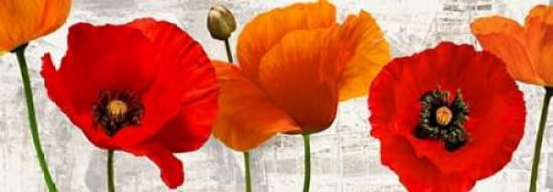 Posterazzi Summer Poppies Canvas Art - Jenny Thomlinson (10 x 20)