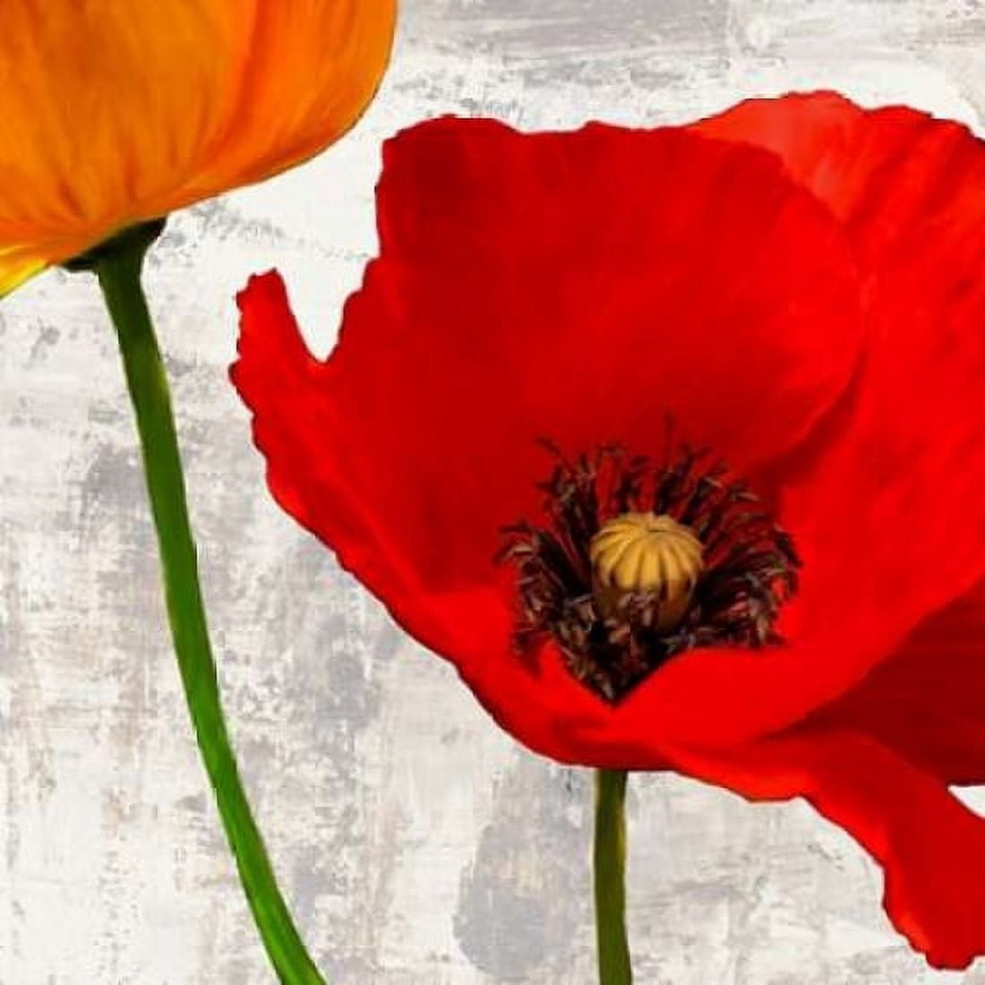 Posterazzi Summer Poppies I Canvas Art - Jenny Thomlinson (24 x 24)