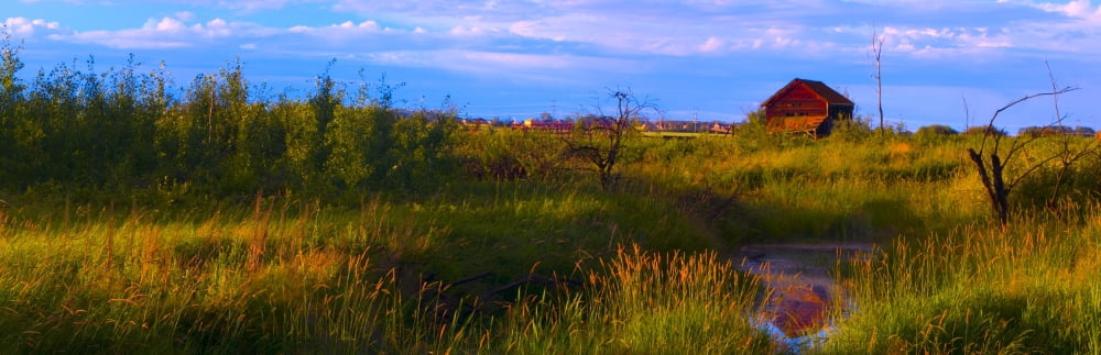 Posterazzi Summer Shot Of Old Shack By Creek St Albert Alberta Canada Canvas Art - Corey Hochachka Design Pics (44 x 14)
