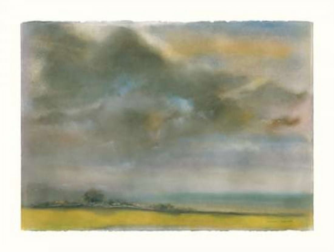 Posterazzi Summer Storm Canvas Art - Sammy Sheler (22 x 28)