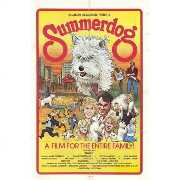 Posterazzi MOVAH7687 Summerdog Movie Poster - 27 x 40 in.