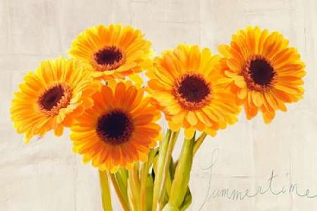 Posterazzi Summertime Canvas Art - Teo Rizzardi (20 x 28)
