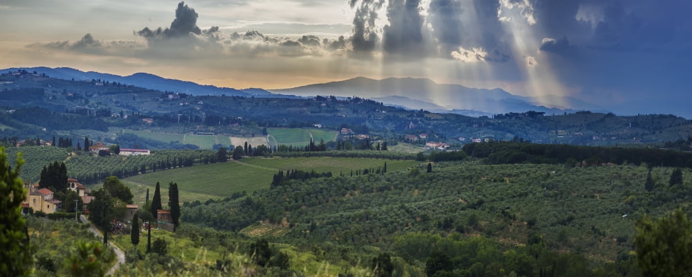 Posterazzi Sunbeams through the clouds over vineyards Capanuccia Florence Italy Canvas Art - Brian Guzzetti Design Pics (36 x 14)