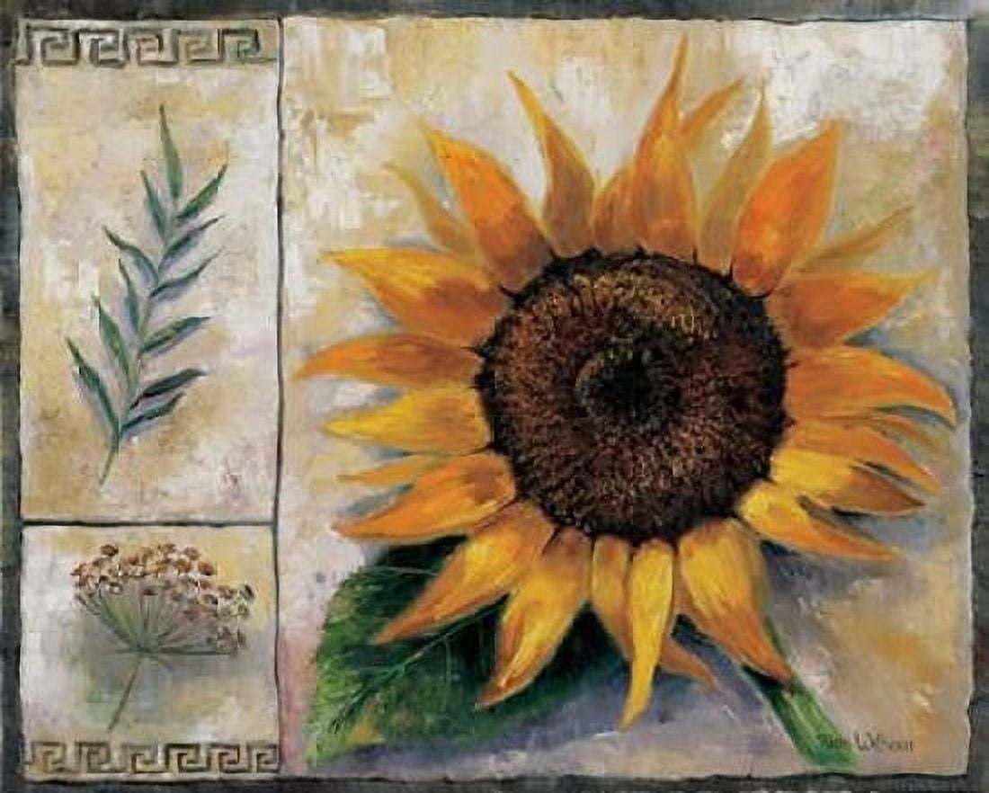 Posterazzi Sunflower composition Canvas Art - Rian Withaar (20 x 24)